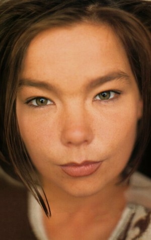 Poster Björk
