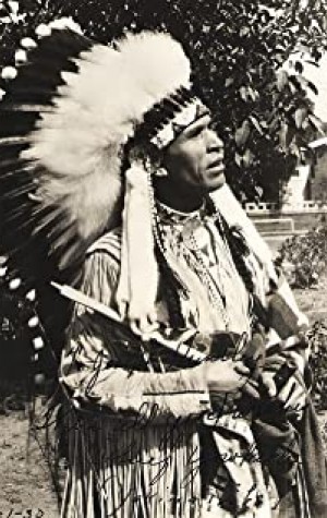 Poster Chief Yowlachie