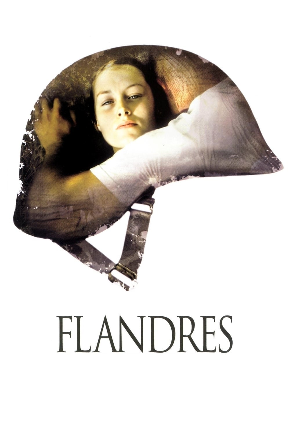Poster Flandern