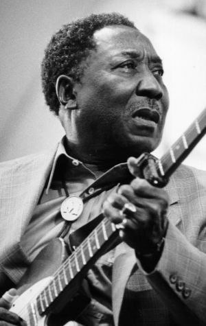 Poster Muddy Waters